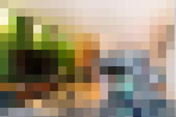 Zonnewende 249 Apeldoorn thumbnail 5
