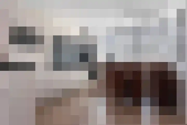 Zonnewende 262 Apeldoorn thumbnail 15