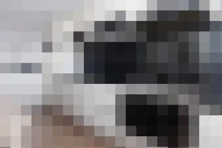 Zonnewende 262 Apeldoorn thumbnail 17