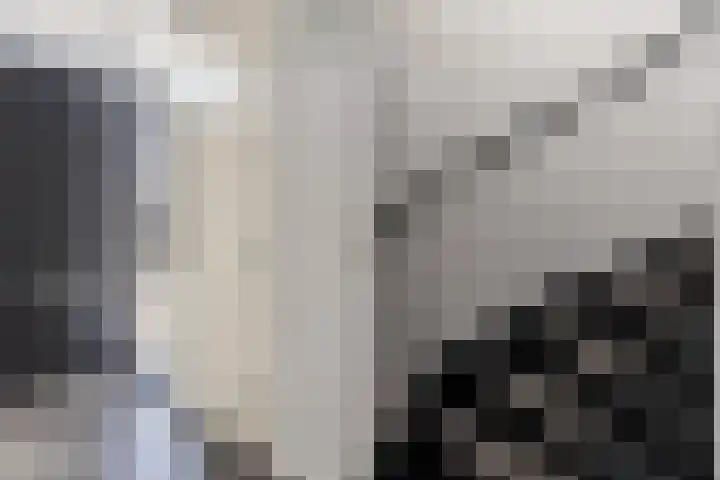 Zonnewende 262 Apeldoorn thumbnail 18
