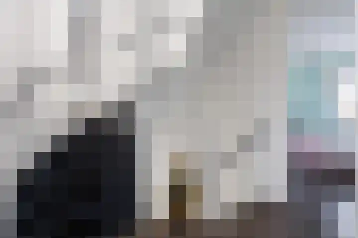 Zonnewende 262 Apeldoorn thumbnail 20