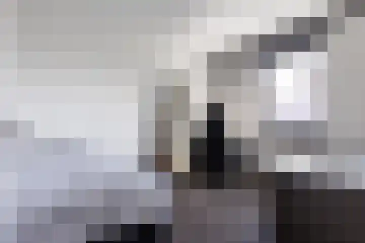 Zonnewende 262 Apeldoorn thumbnail 23