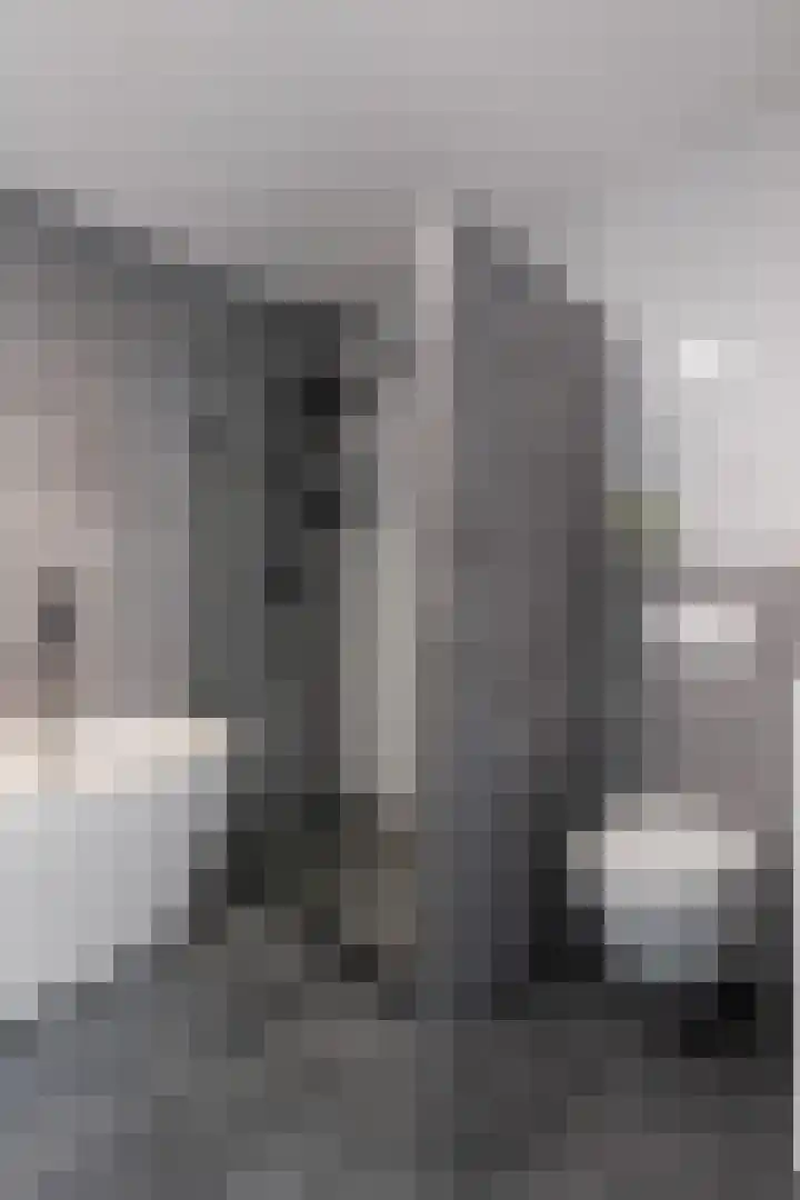 Zonnewende 262 Apeldoorn thumbnail 27