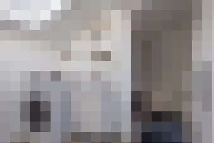 Zonnewende 262 Apeldoorn thumbnail 29