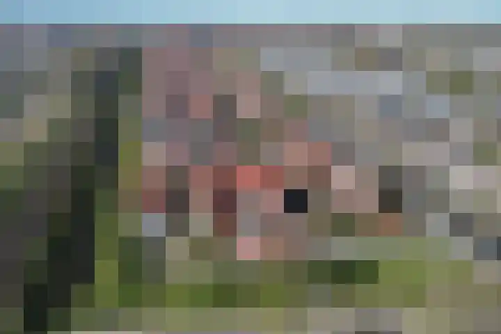 Zonnewende 262 Apeldoorn thumbnail 36