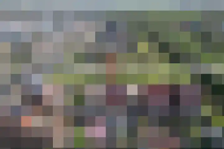 Zonnewende 262 Apeldoorn thumbnail 37