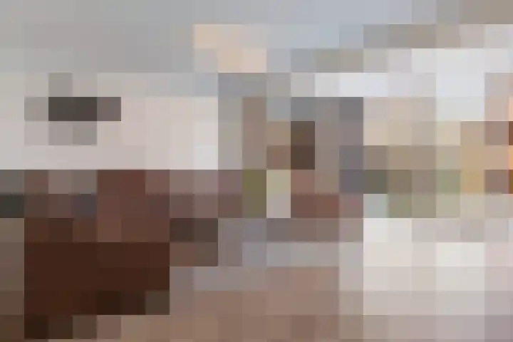 Zonnewende 262 Apeldoorn thumbnail 7