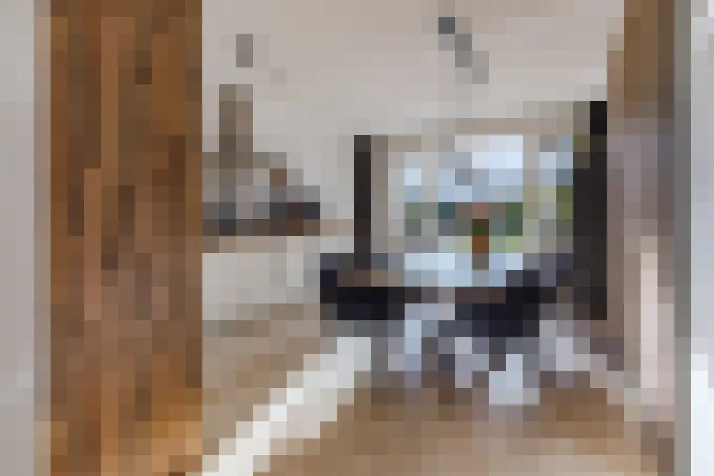 Zonnewende 274 Apeldoorn thumbnail 20
