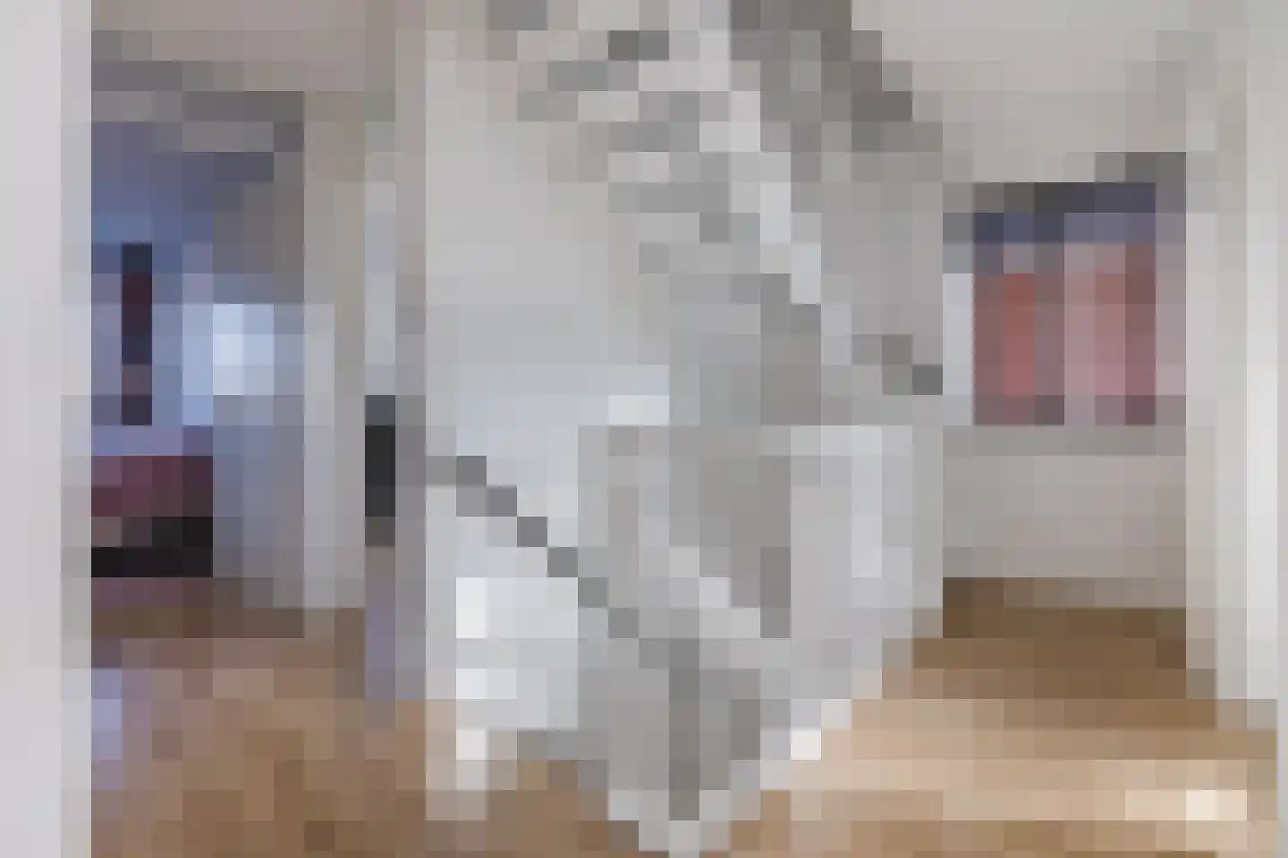Zonnewende 274 Apeldoorn thumbnail 24
