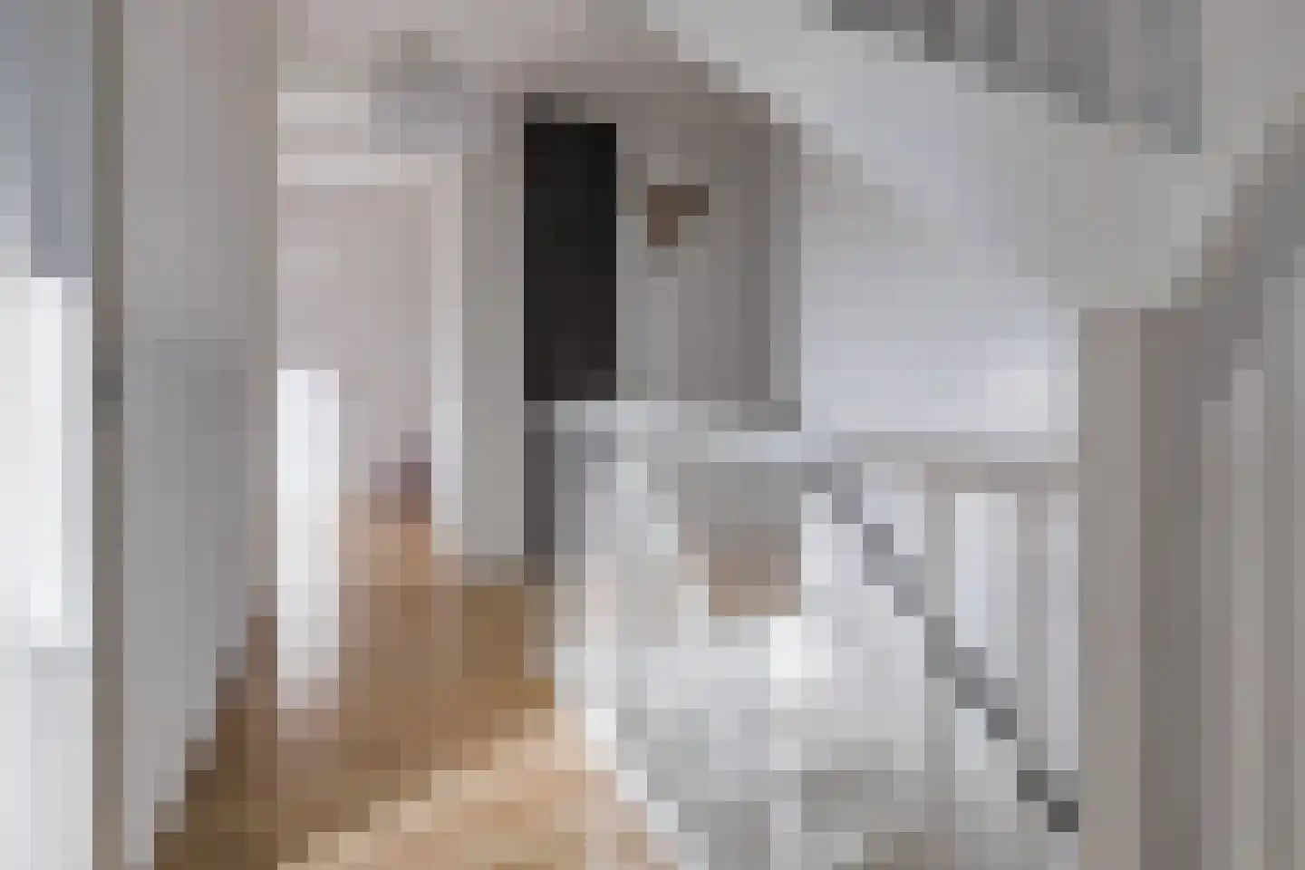 Zonnewende 274 Apeldoorn thumbnail 25