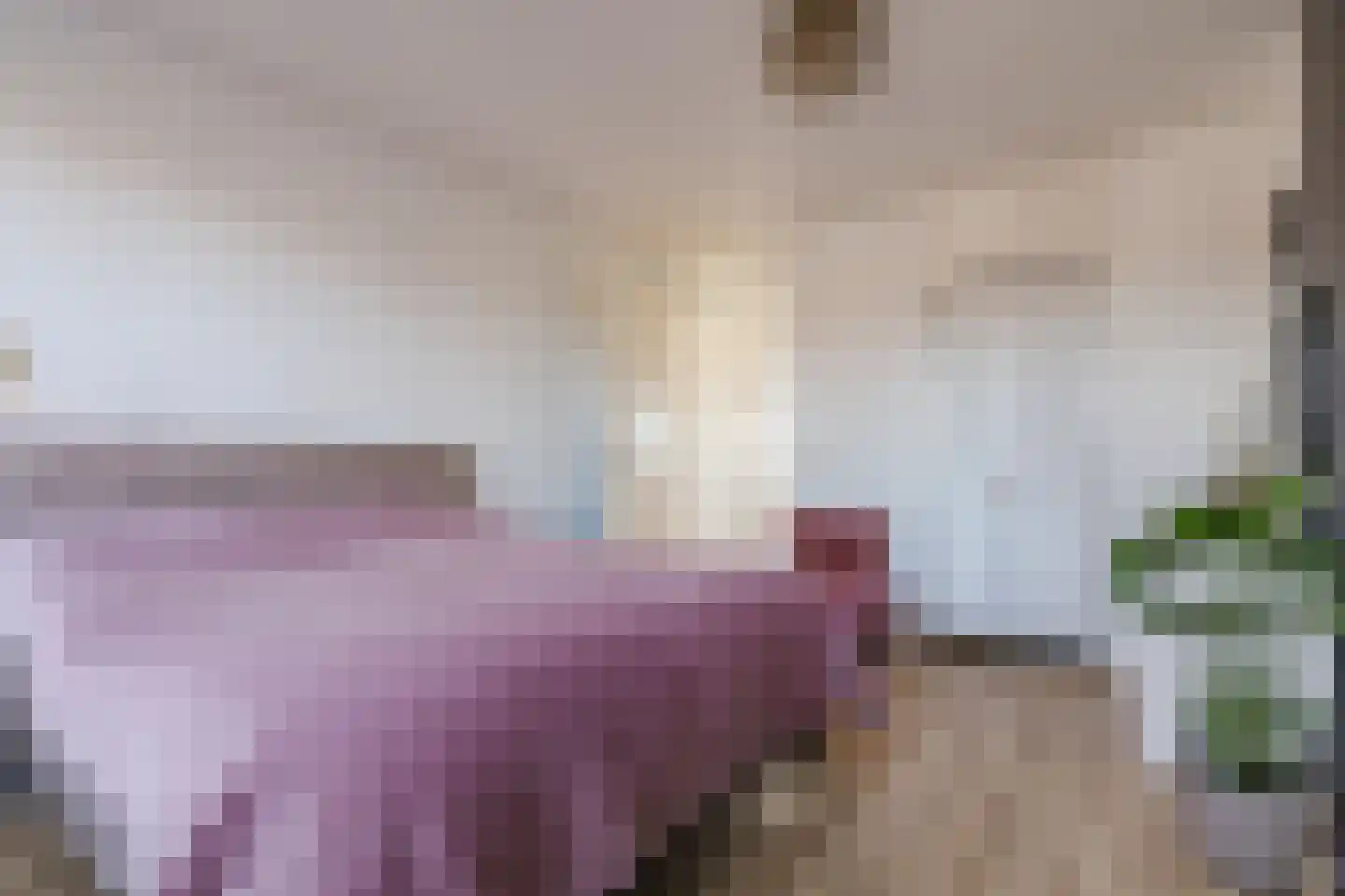Zonnewende 274 Apeldoorn thumbnail 27