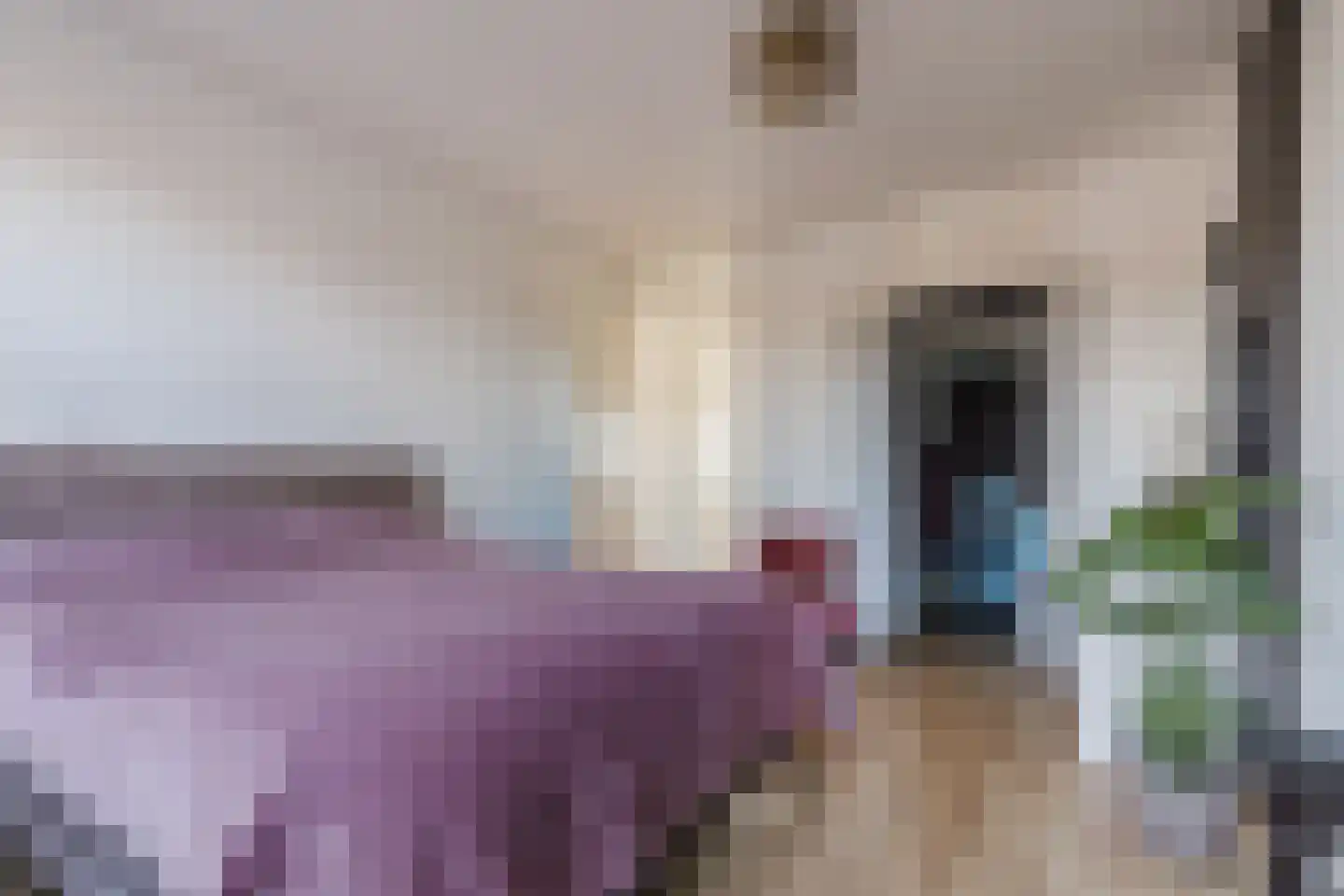 Zonnewende 274 Apeldoorn thumbnail 28