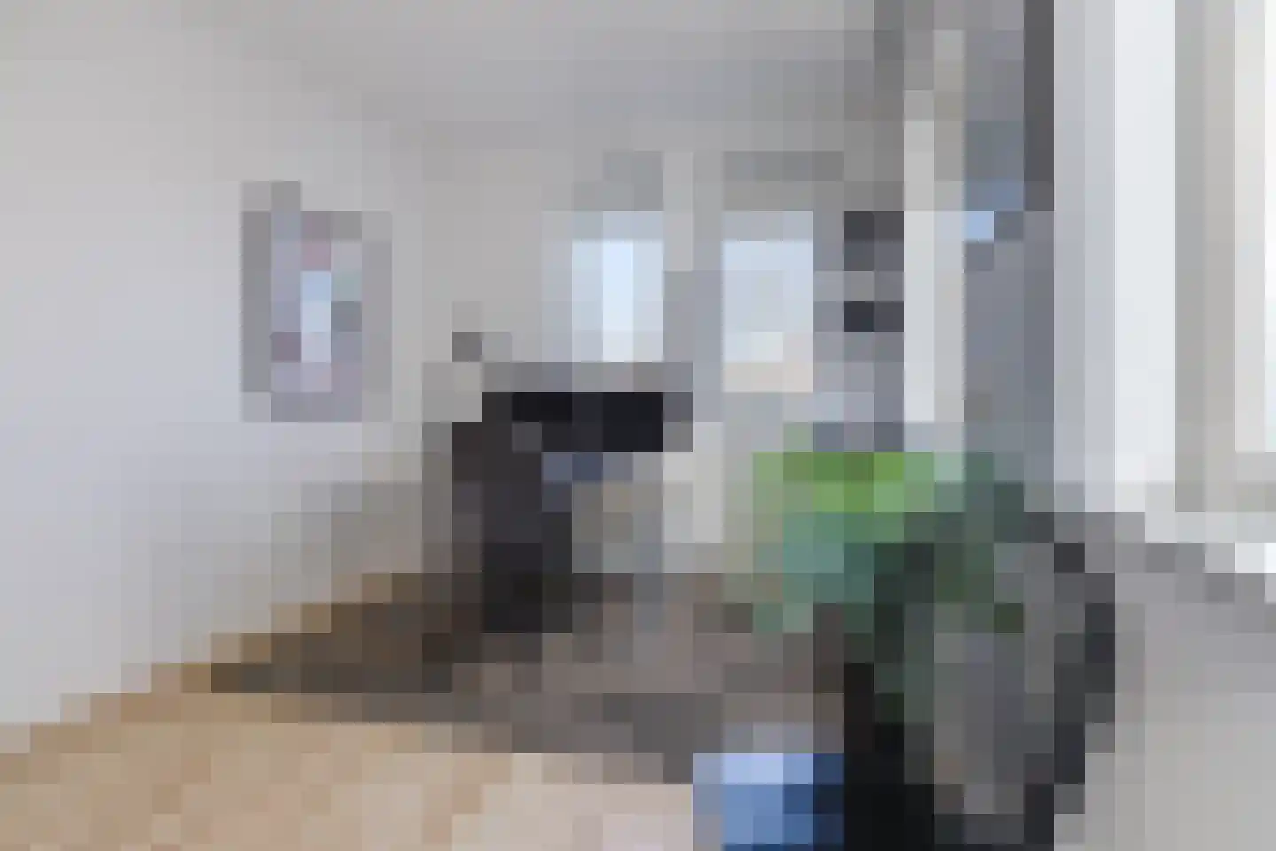Zonnewende 274 Apeldoorn thumbnail 31