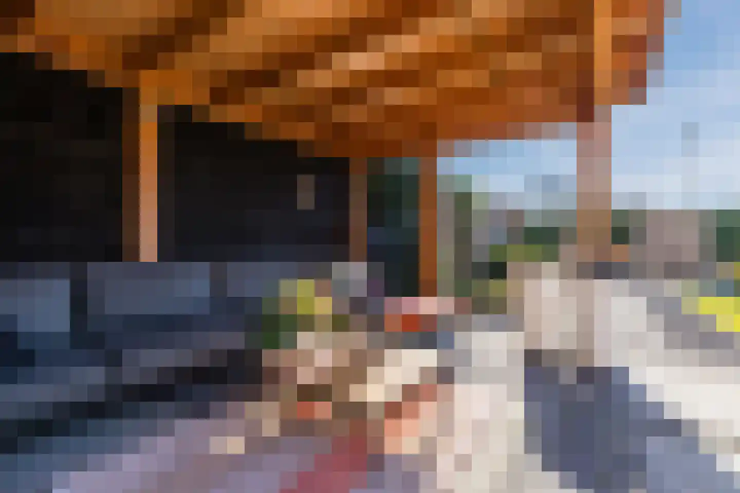 Zonnewende 274 Apeldoorn thumbnail 6