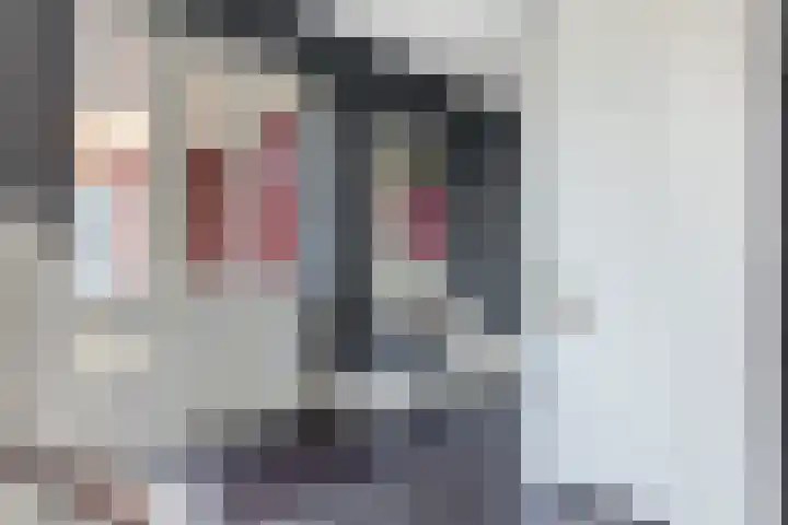 Zonnewende 282 Apeldoorn thumbnail 11