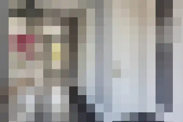 Zonnewende 282 Apeldoorn thumbnail 13
