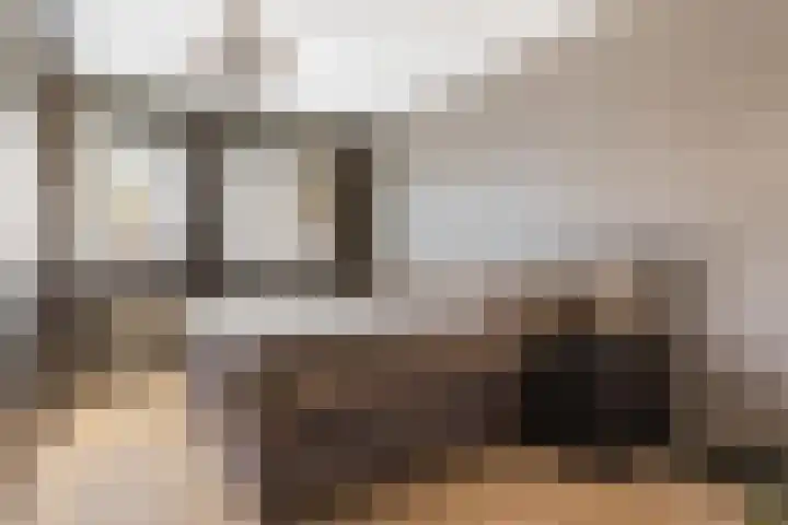Zonnewende 282 Apeldoorn thumbnail 17