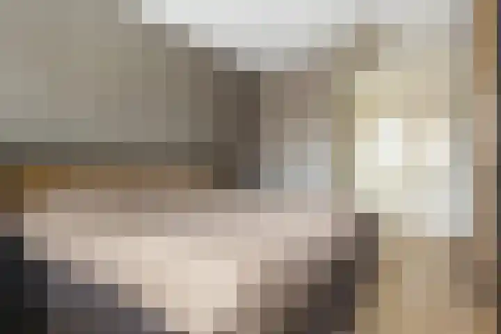 Zonnewende 282 Apeldoorn thumbnail 18