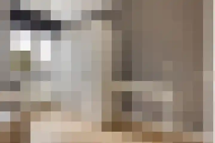 Zonnewende 282 Apeldoorn thumbnail 20