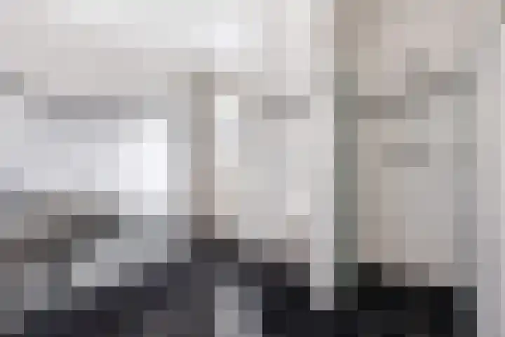 Zonnewende 282 Apeldoorn thumbnail 22