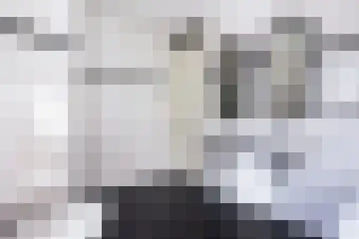 Zonnewende 282 Apeldoorn thumbnail 24