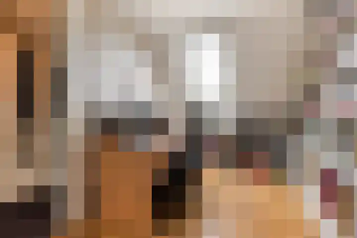 Zonnewende 282 Apeldoorn thumbnail 28
