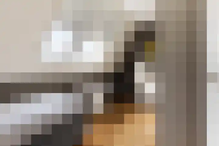 Zonnewende 282 Apeldoorn thumbnail 30