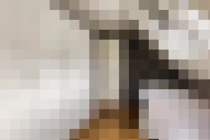 Zonnewende 282 Apeldoorn thumbnail 31