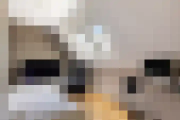 Zonnewende 282 Apeldoorn thumbnail 32