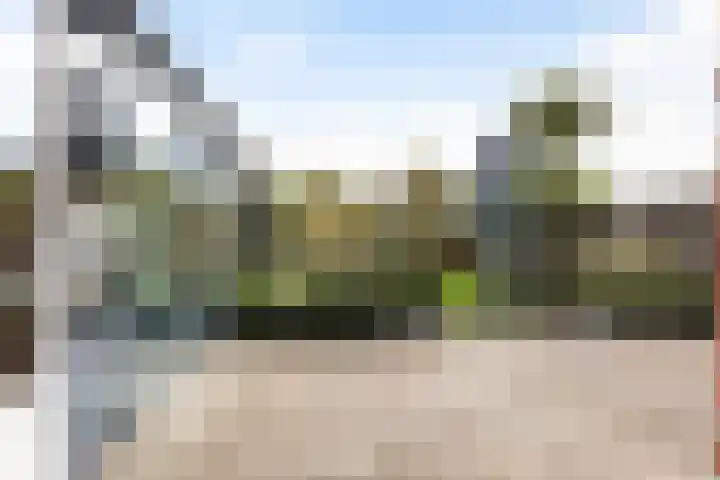 Zonnewende 282 Apeldoorn thumbnail 33