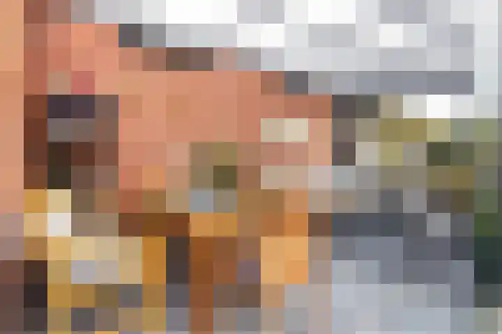 Zonnewende 282 Apeldoorn thumbnail 35