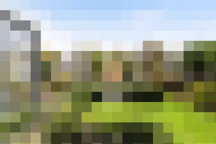 Zonnewende 282 Apeldoorn thumbnail 36