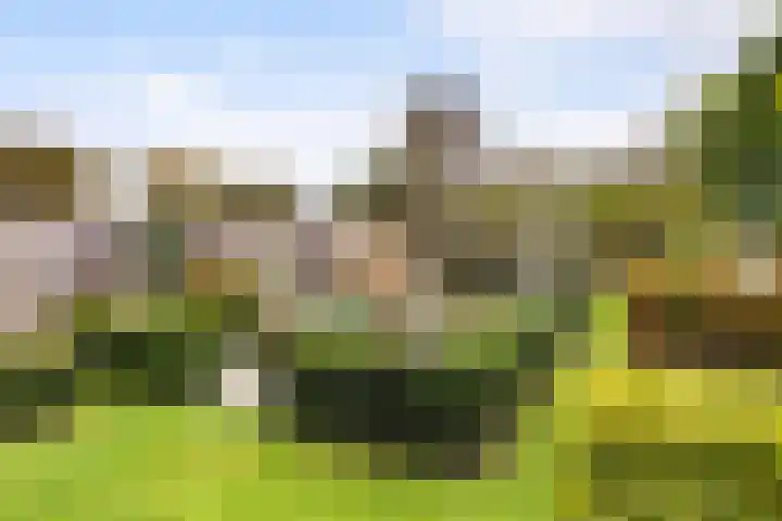 Zonnewende 282 Apeldoorn thumbnail 37