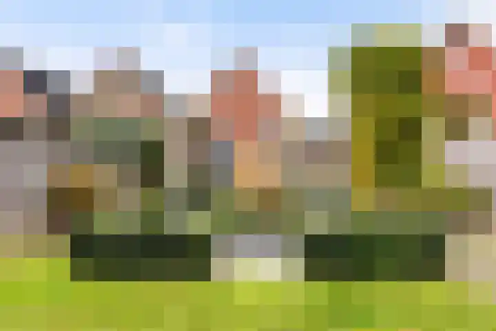 Zonnewende 282 Apeldoorn thumbnail 39