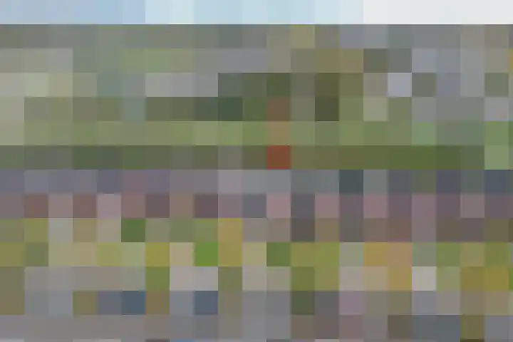Zonnewende 282 Apeldoorn thumbnail 41