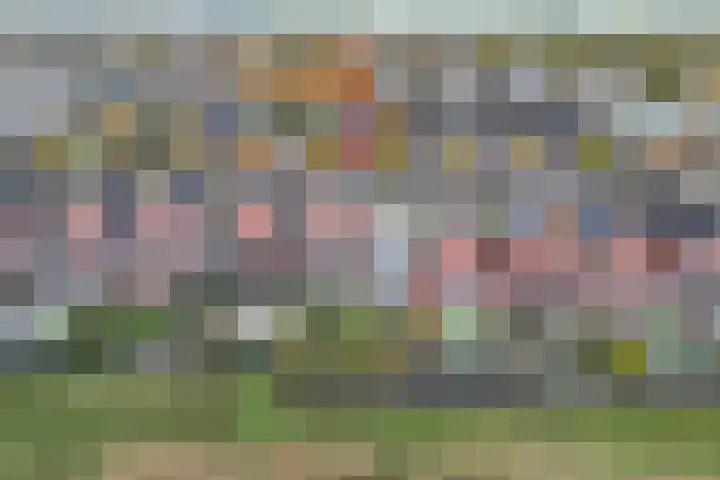 Zonnewende 282 Apeldoorn thumbnail 42