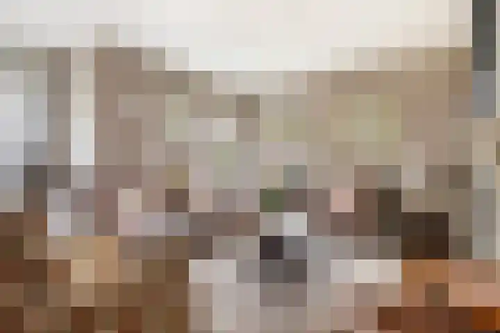 Zonnewende 282 Apeldoorn thumbnail 6