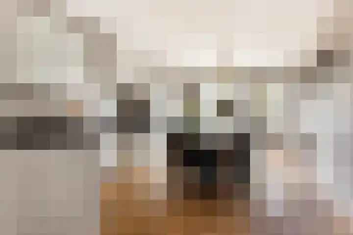 Zonnewende 282 Apeldoorn thumbnail 8