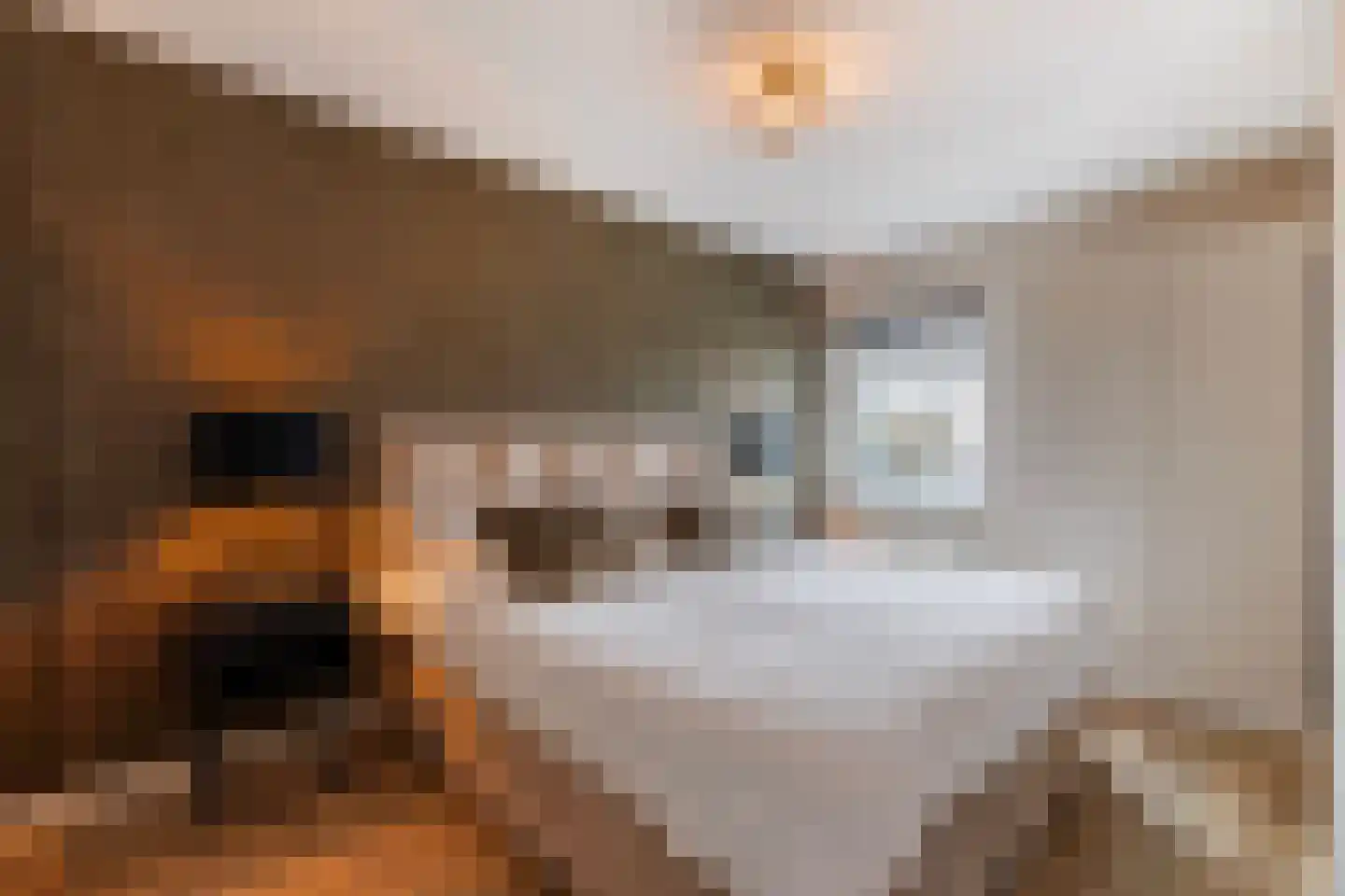 Zonnewende 283 Apeldoorn thumbnail 24