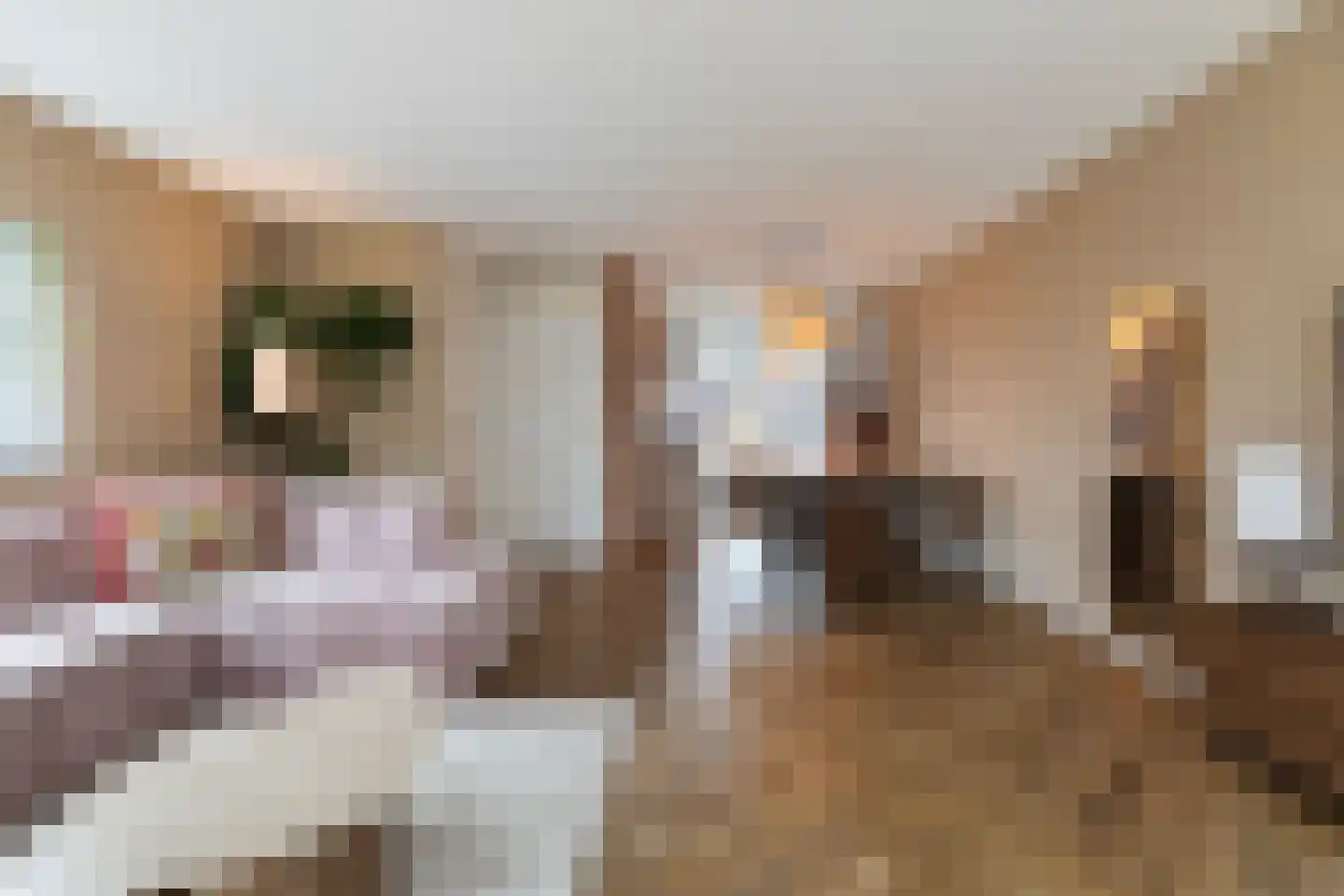 Zonnewende 283 Apeldoorn thumbnail 8