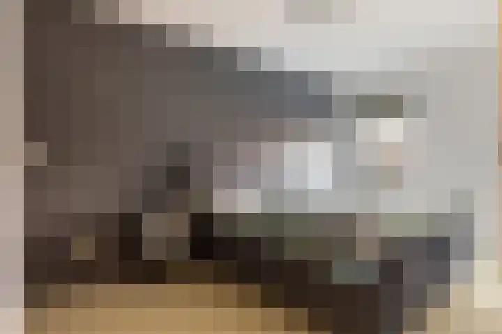 Zonnewende 287 Apeldoorn thumbnail 13
