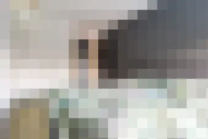 Zonnewende 287 Apeldoorn thumbnail 14