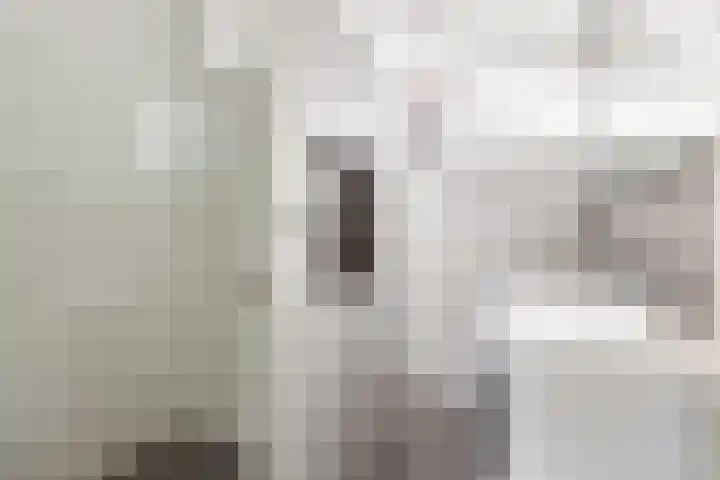 Zonnewende 287 Apeldoorn thumbnail 15