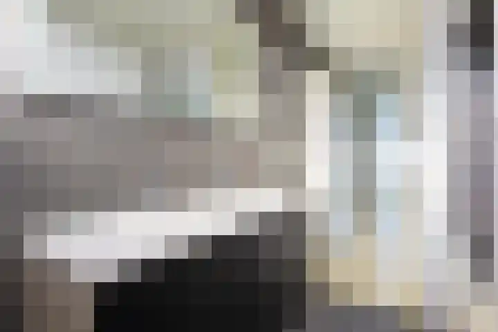 Zonnewende 287 Apeldoorn thumbnail 18