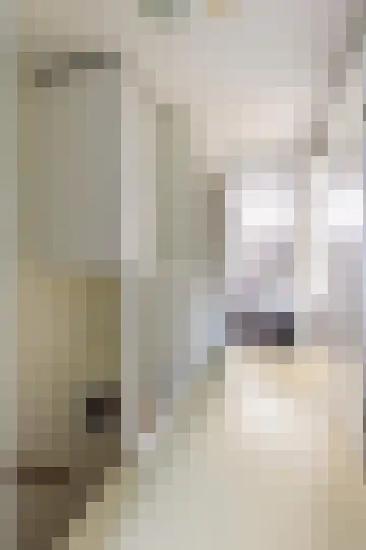 Zonnewende 287 Apeldoorn thumbnail 21