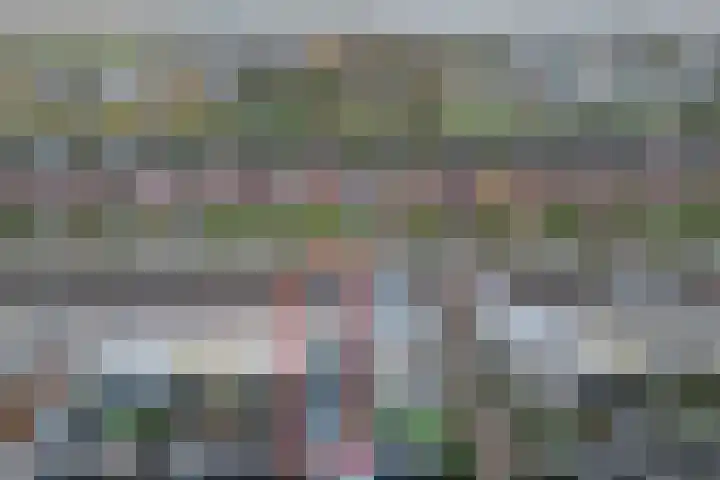 Zonnewende 287 Apeldoorn thumbnail 26