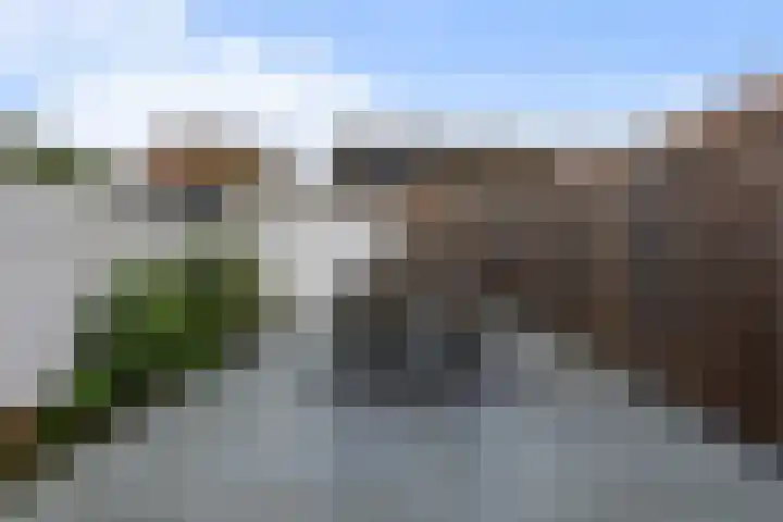 Zonnewende 287 Apeldoorn thumbnail 4