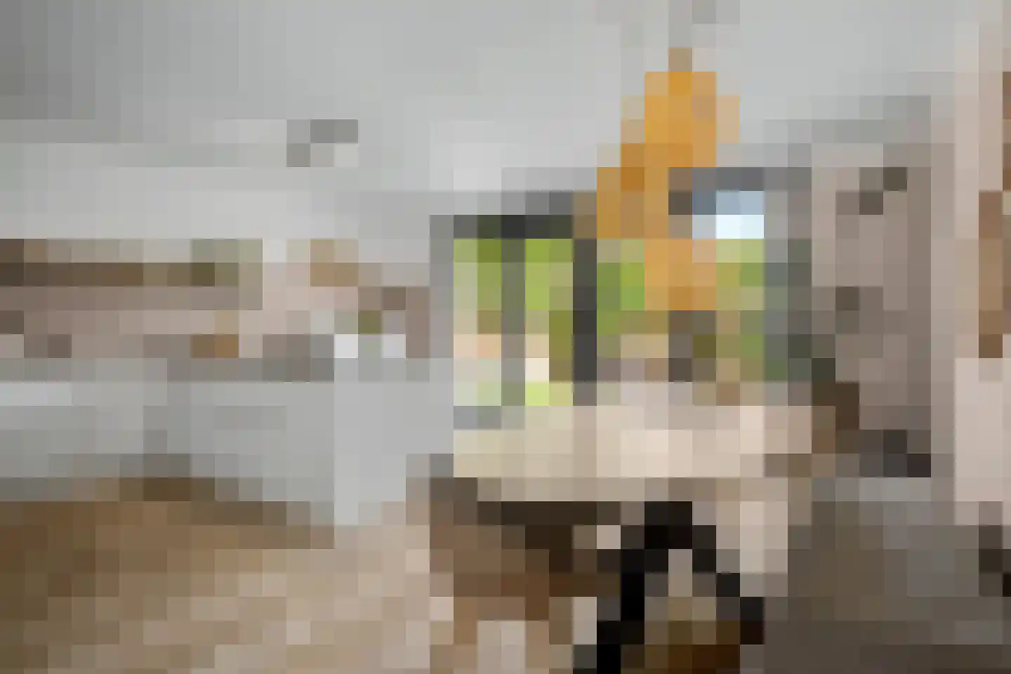 Zonnewende 29 Arnhem thumbnail 13