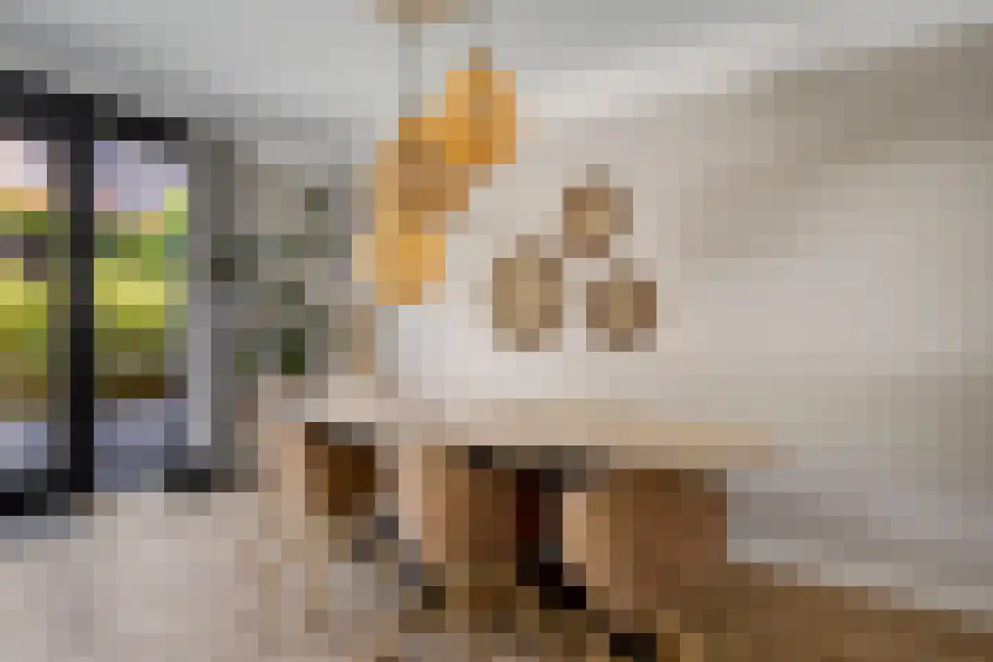 Zonnewende 29 Arnhem thumbnail 14