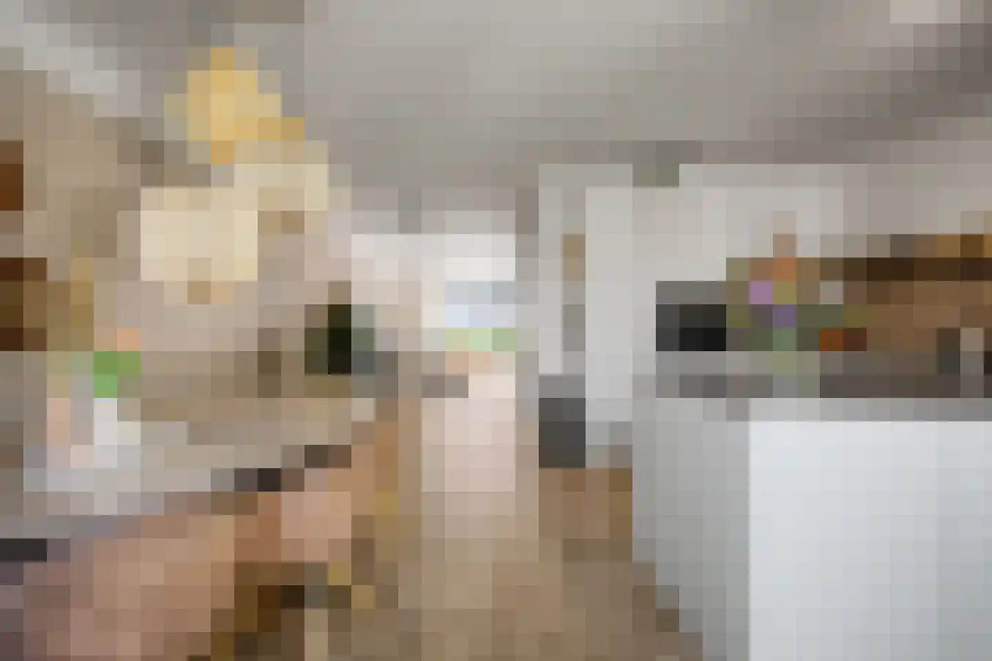 Zonnewende 29 Arnhem thumbnail 19